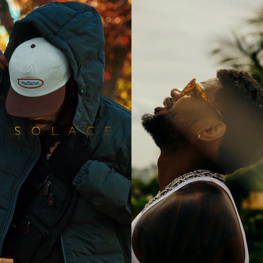 Solace & the Vices album cover